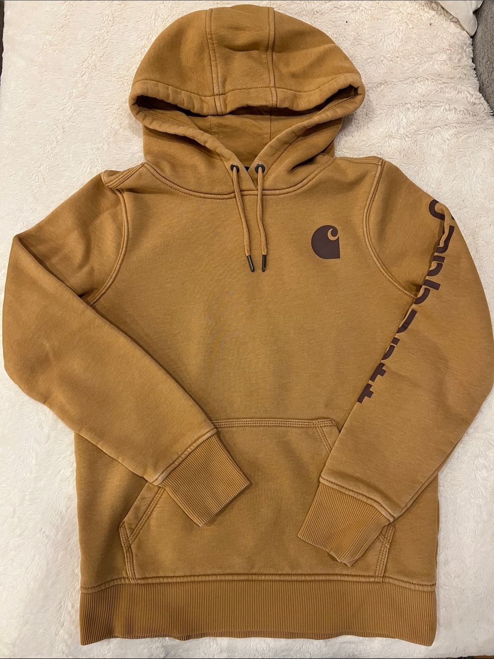 Carhartt Brown Carhartt Logo Pullover Hoodie